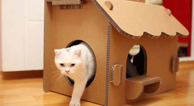 Как можно использовать картонные коробки после переезда